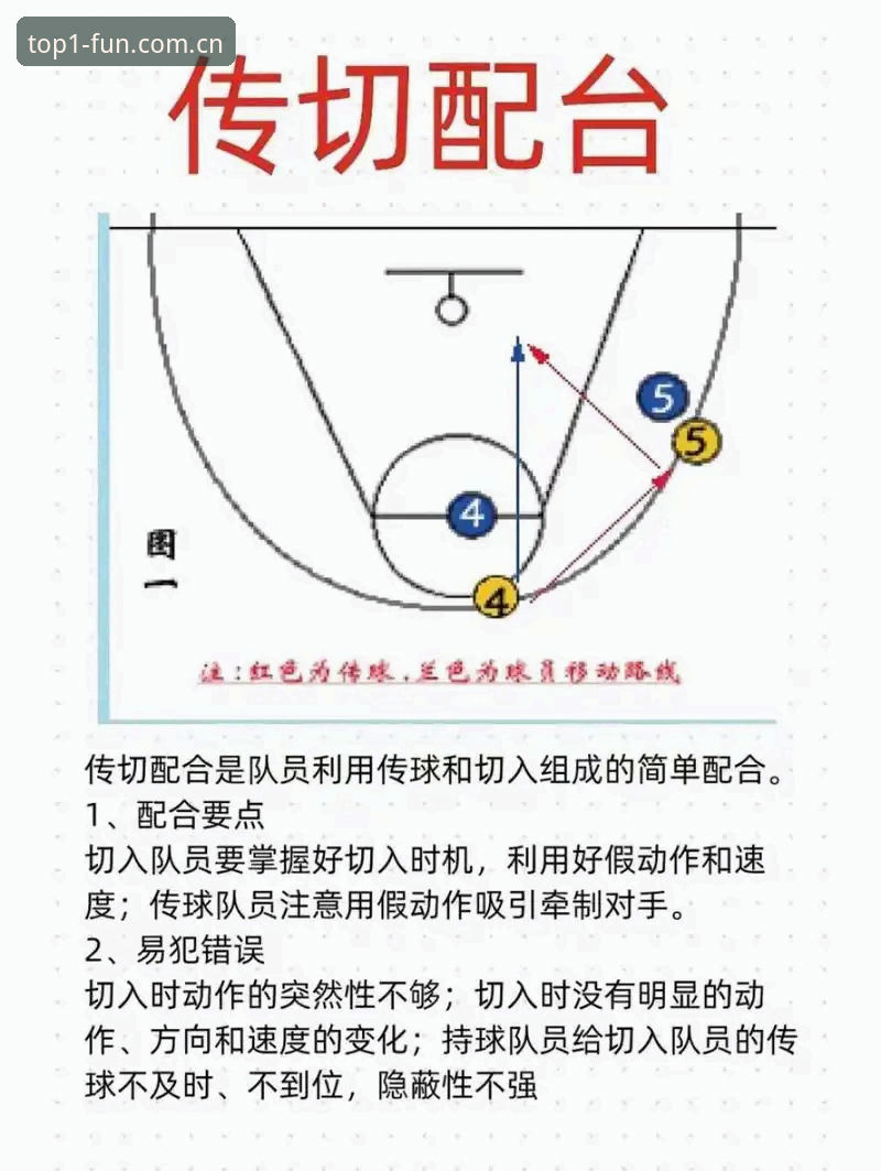 揭秘第一娱乐体育投注使用指南：新手必须知道的5个核心技巧